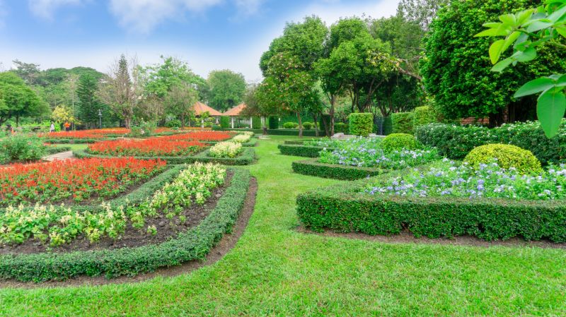 Hedge Installation Service