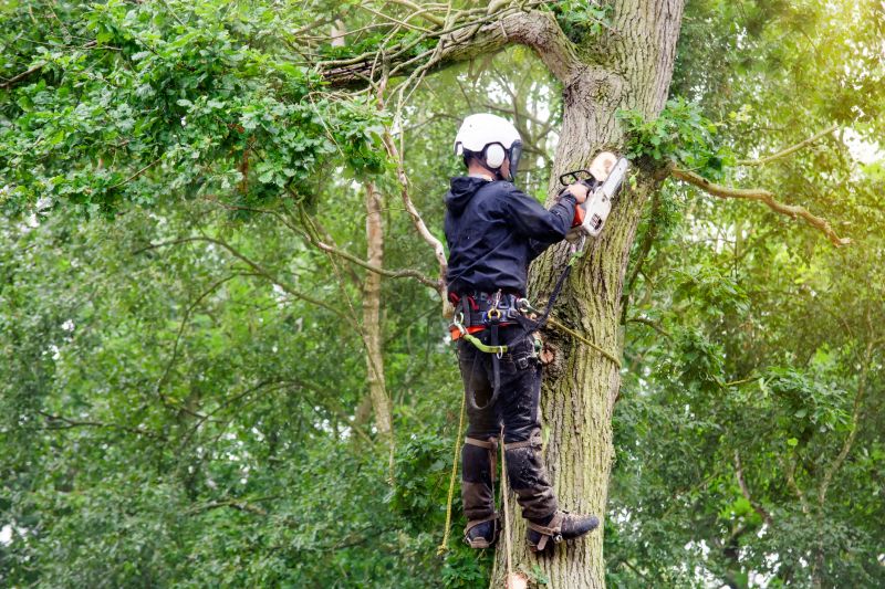 Arborist Pruning
