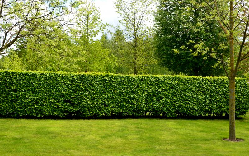 Hedge Size and Length