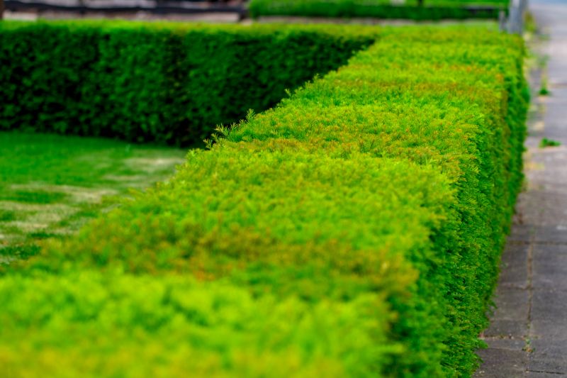 Lush Hedge Installation