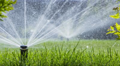 Wide view of lawn sprinklers