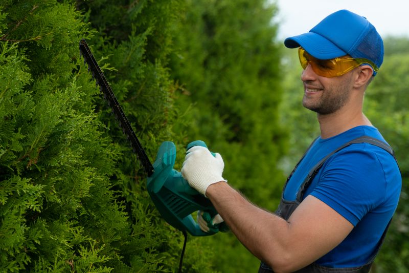 Local Hedge Installation pros at work